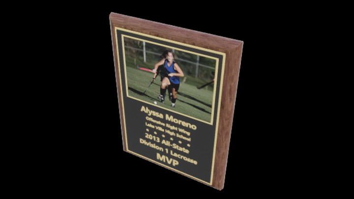 UE项目资源_模型资源_画框031