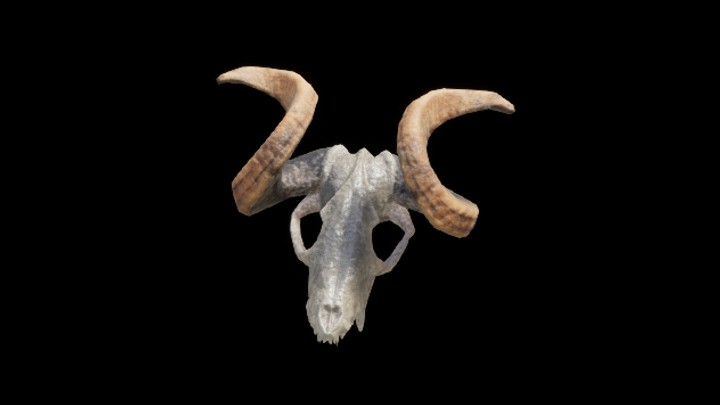 UE项目资源_模型资源_羊头001