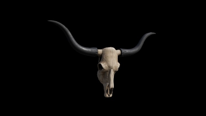 UE项目资源_模型资源_羊头骨002