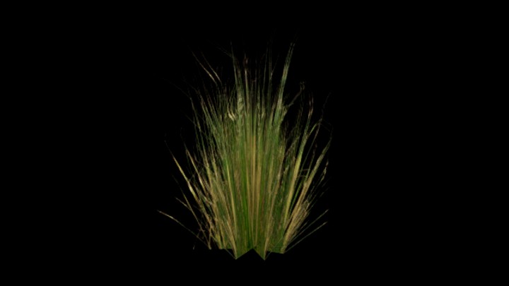 UE项目资源_模型资源_草413