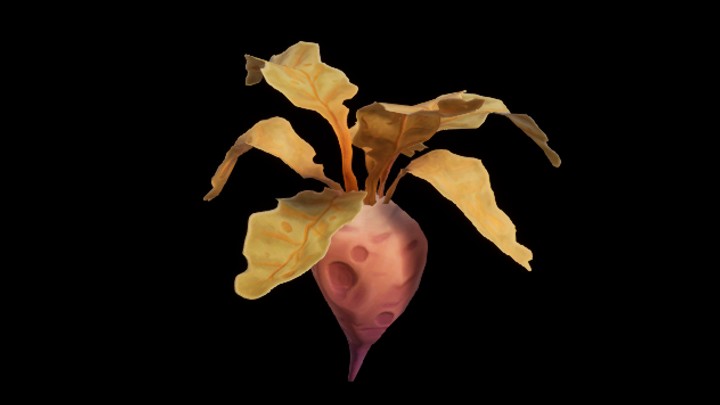 UE项目资源_模型资源_蔬菜057