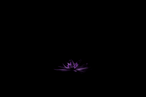 UE项目资源_粒子系统_魔法阵236