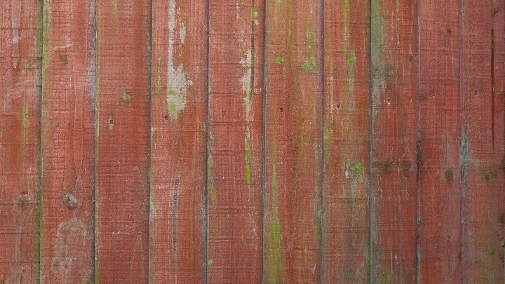 材质纹理_木板051