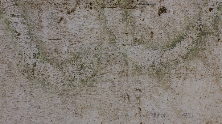 材质纹理_木板366