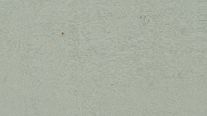 材质纹理_木板394