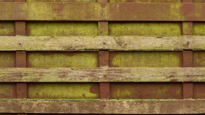 材质纹理_木板503