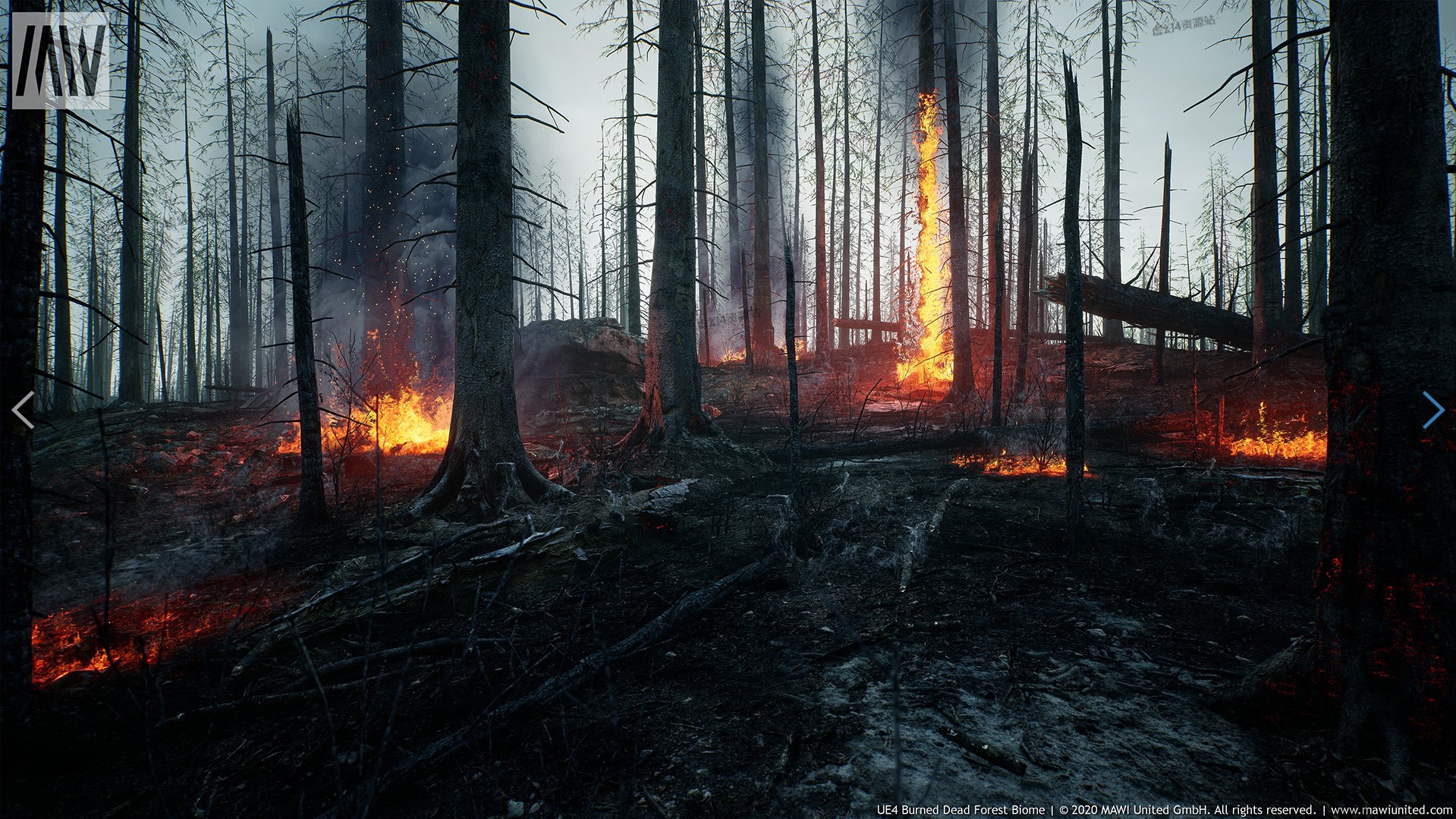 MW Burned Dead Trees Forest Biome被烧毁的森林