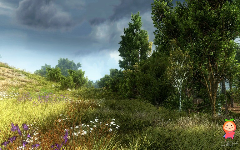 Realistic Nature Environment自然森林场景