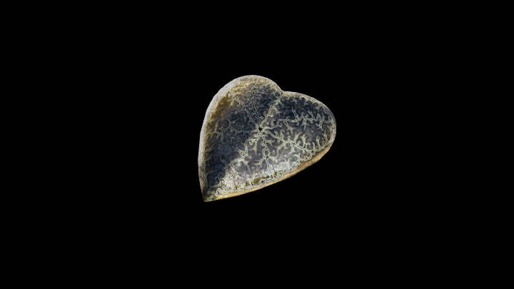 UE项目资源_模型资源_中世纪盾牌012