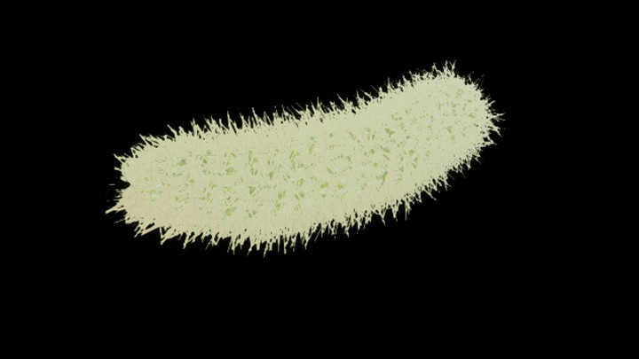 UE项目资源_模型资源_仙人掌042