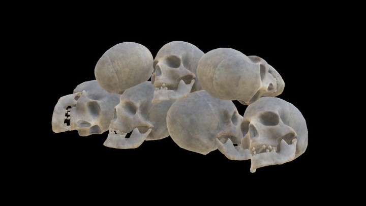 UE项目资源_模型资源_头骨013