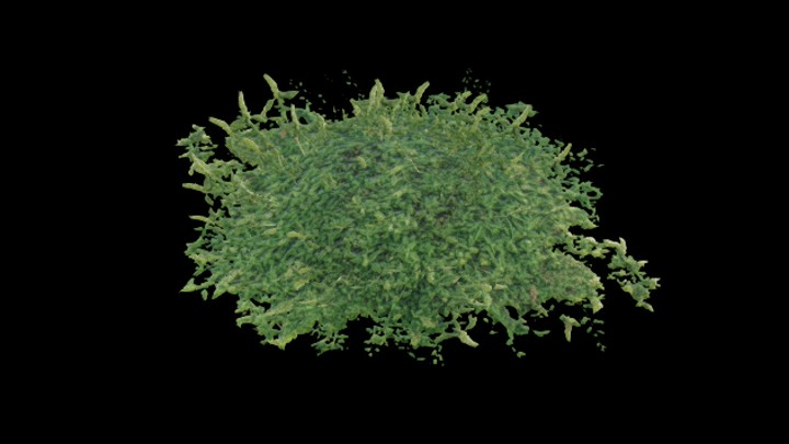 UE项目资源_模型资源_杂草011