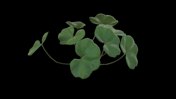 UE项目资源_模型资源_杂草024