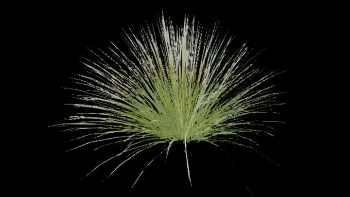 UE项目资源_模型资源_杂草035