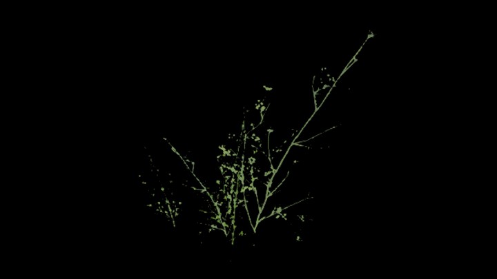 UE项目资源_模型资源_杂草052