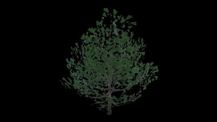 UE项目资源_模型资源_松树011