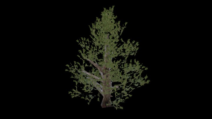 UE项目资源_模型资源_松树017