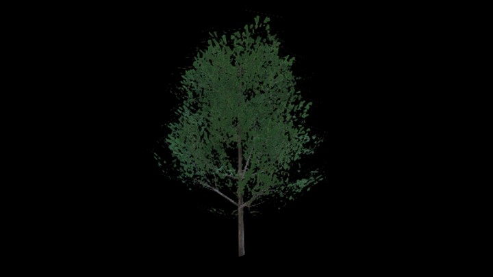 UE项目资源_模型资源_松树027