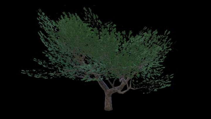 UE项目资源_模型资源_松树028