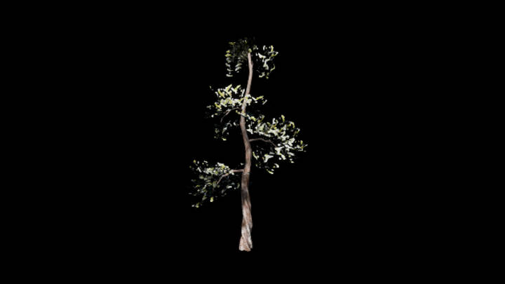 UE项目资源_模型资源_松树034