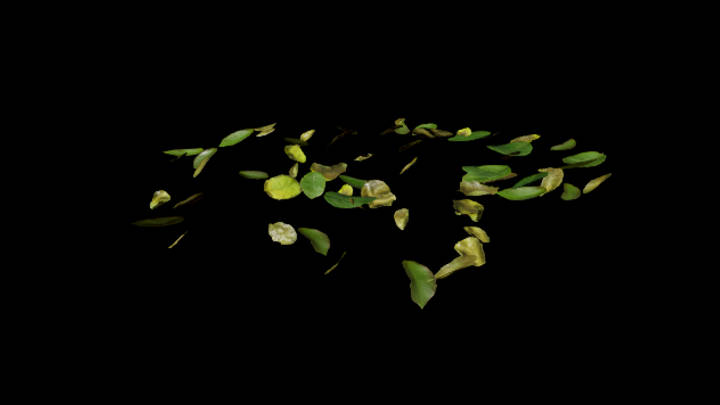 UE项目资源_模型资源_枯叶002