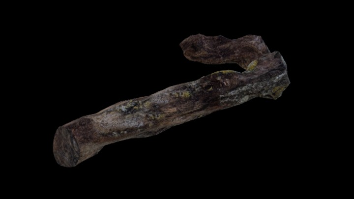 UE项目资源_模型资源_枯木007