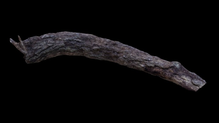 UE项目资源_模型资源_枯木011