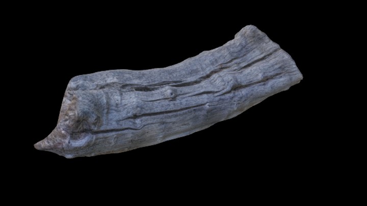 UE项目资源_模型资源_枯木013