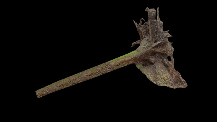 UE项目资源_模型资源_枯木022