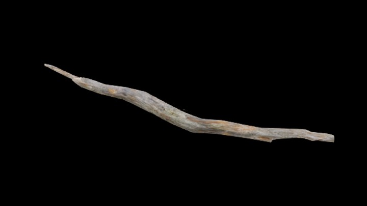 UE项目资源_模型资源_枯枝008