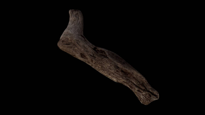 UE项目资源_模型资源_枯树枝009