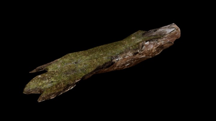 UE项目资源_模型资源_枯树皮001