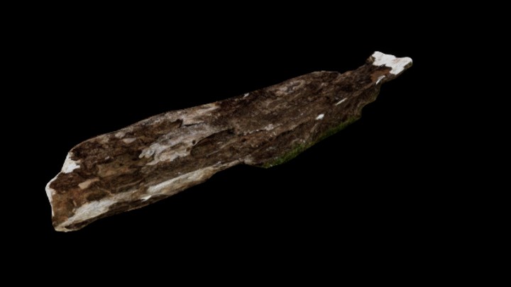 UE项目资源_模型资源_枯树皮007