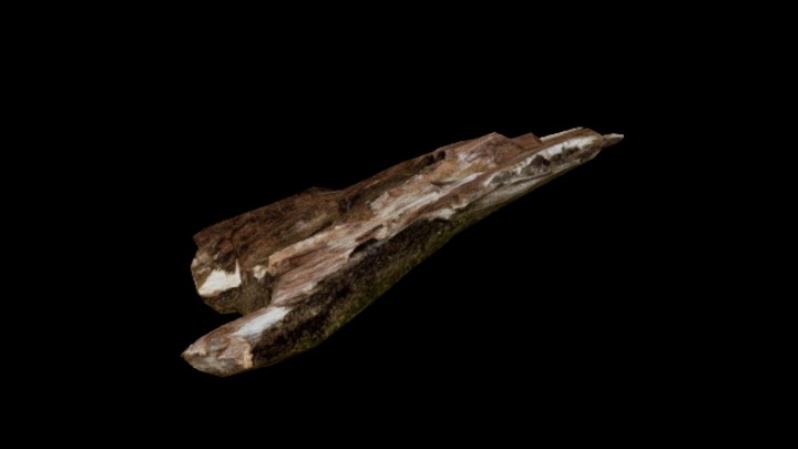 UE项目资源_模型资源_枯树皮011