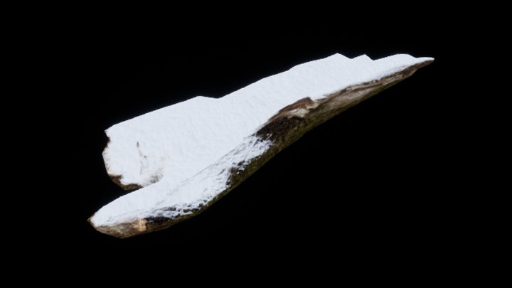 UE项目资源_模型资源_枯树皮012