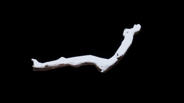 UE项目资源_模型资源_枯树皮014