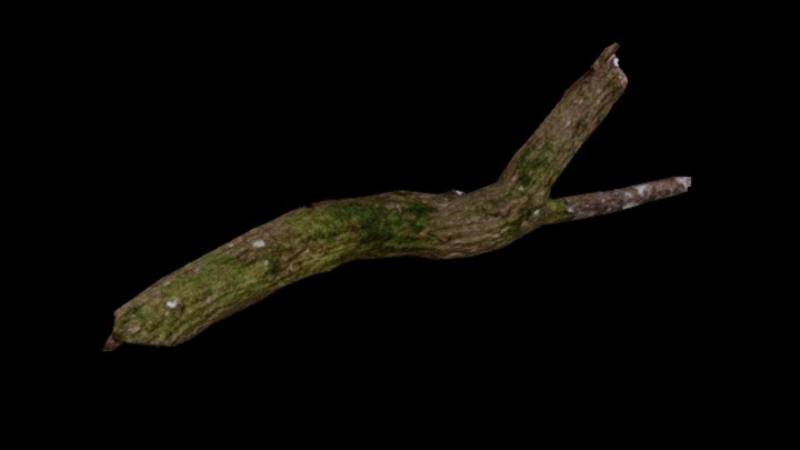 UE项目资源_模型资源_枯树皮015