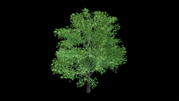 UE项目资源_模型资源_树271