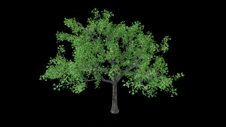 UE项目资源_模型资源_树274