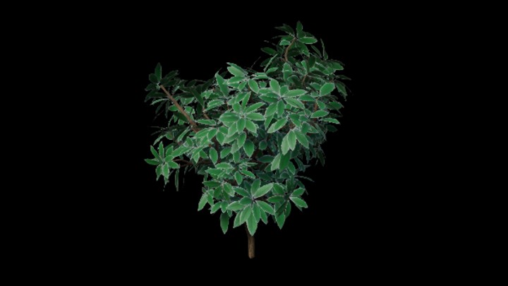 UE项目资源_模型资源_树283