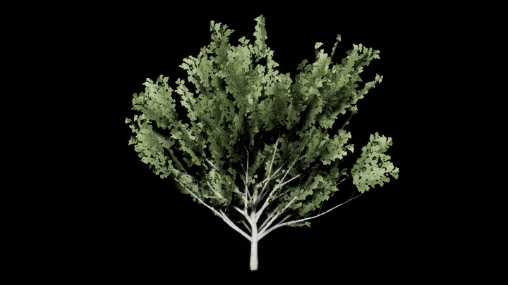 UE项目资源_模型资源_树298