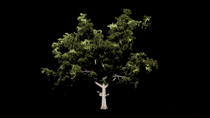 UE项目资源_模型资源_树300