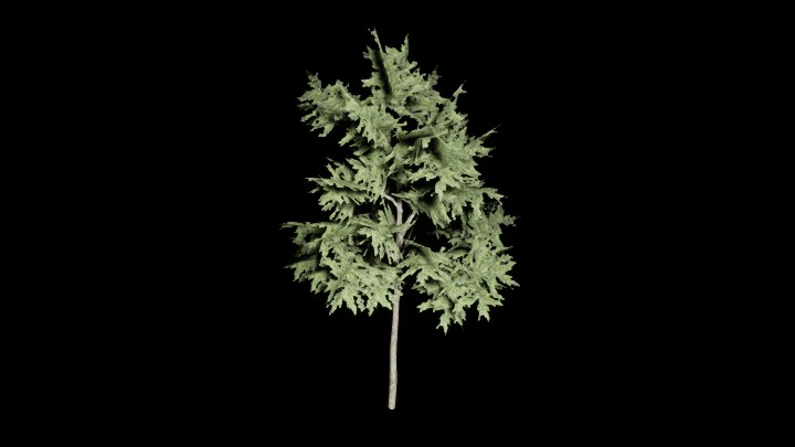 UE项目资源_模型资源_树303