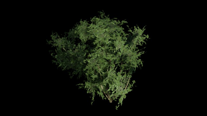 UE项目资源_模型资源_树313