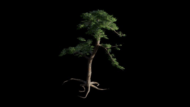 UE项目资源_模型资源_树320