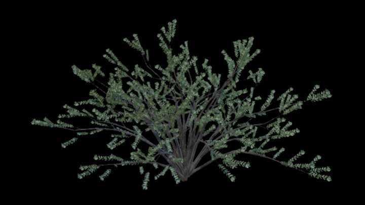 UE项目资源_模型资源_树325