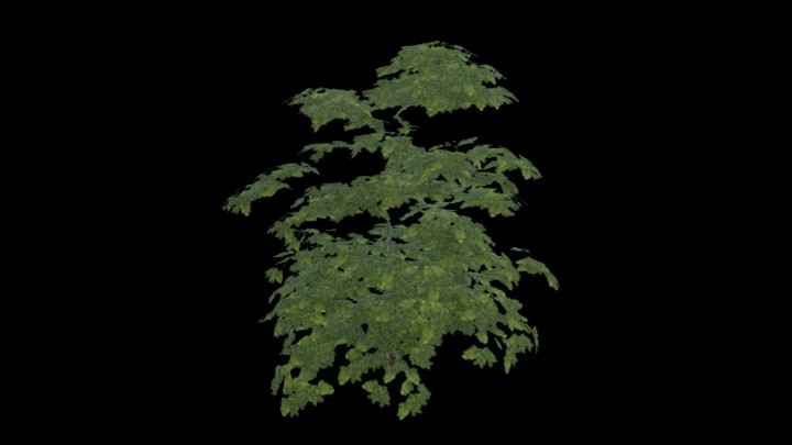 UE项目资源_模型资源_树326