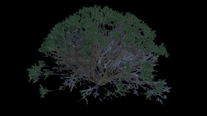 UE项目资源_模型资源_树333