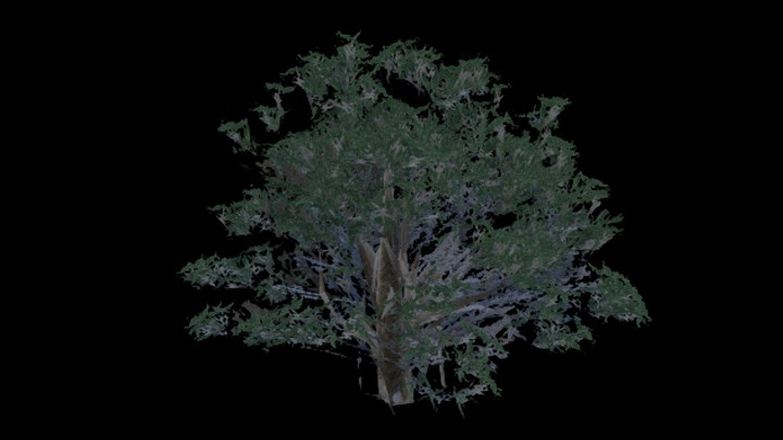 UE项目资源_模型资源_树336