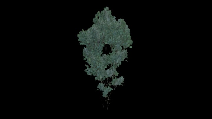 UE项目资源_模型资源_树337